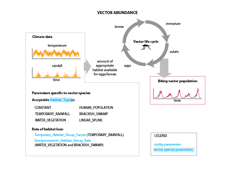 _images/Vector_Transmission_abundance.png