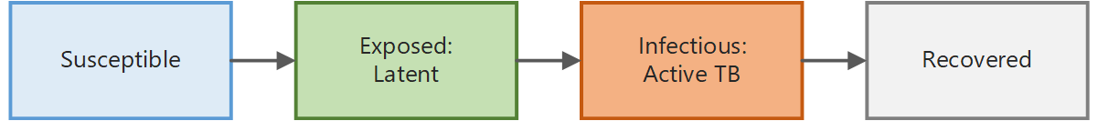 The EMOD TB model simplified as an SEIR model