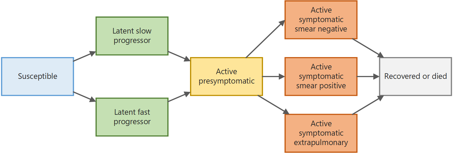 All disease states available in the TB model