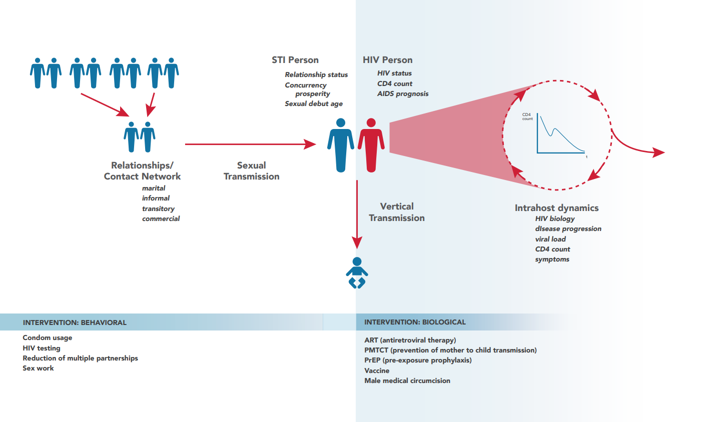 ../_images/HIV-Model_Flowchart.png