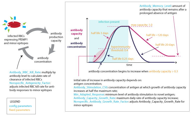 ../_images/Malaria_Infection_immunity_adaptive_response_to_variable_epitopes.png