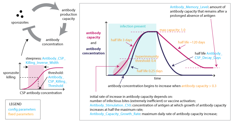 ../_images/Malaria_Infection_immunity_anti_CSP_immunity.png